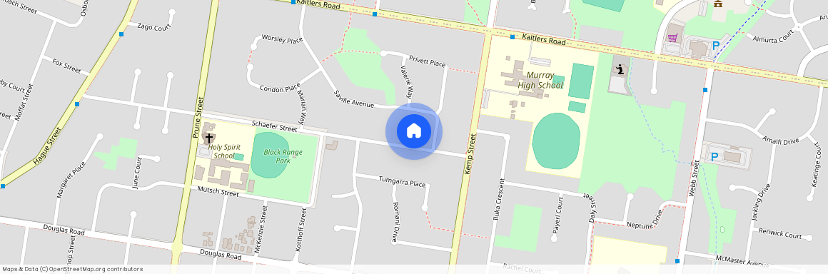 424 Schaefer Street, NSW 2641, Lavington