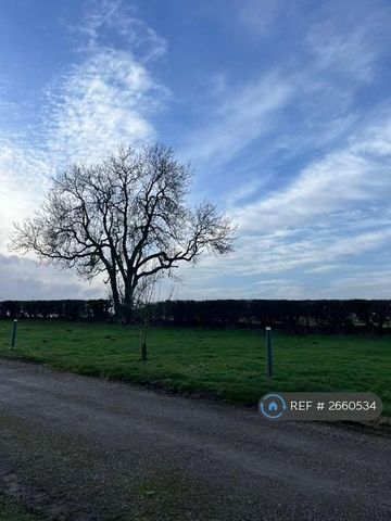 2 bedroom mobile home to rent - Photo 4