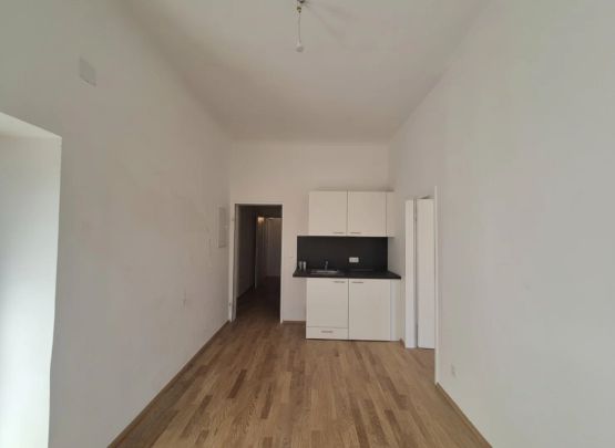 2-Zimmer Wohnung frisch renoviert mit neuer Küche! - Photo 1