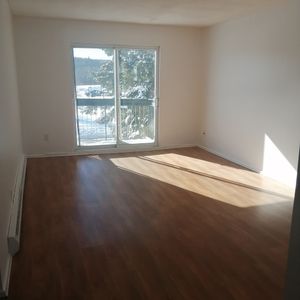 GRAND 2 CHAMBRES CHAUFFE ECLAIRE - Photo 3