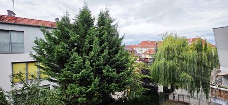 Apartament przy Jasnych Błoniach - Photo 5