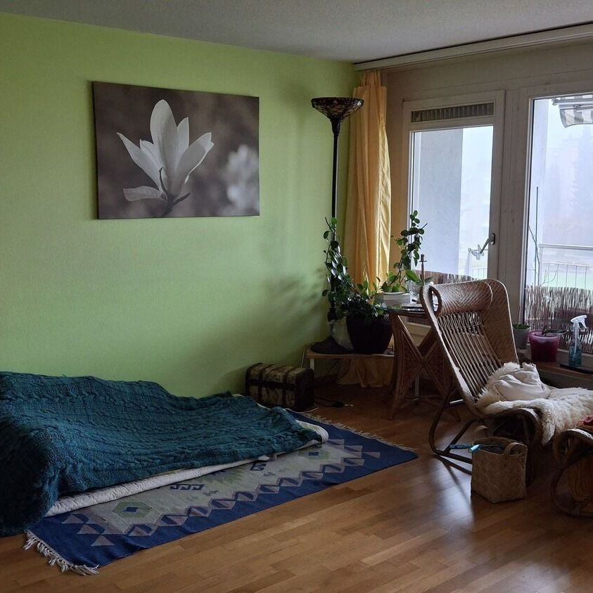 2-ROOM APARTMENT IN LUCERNE, FURNISHED, TEMPORARY - Photo 1