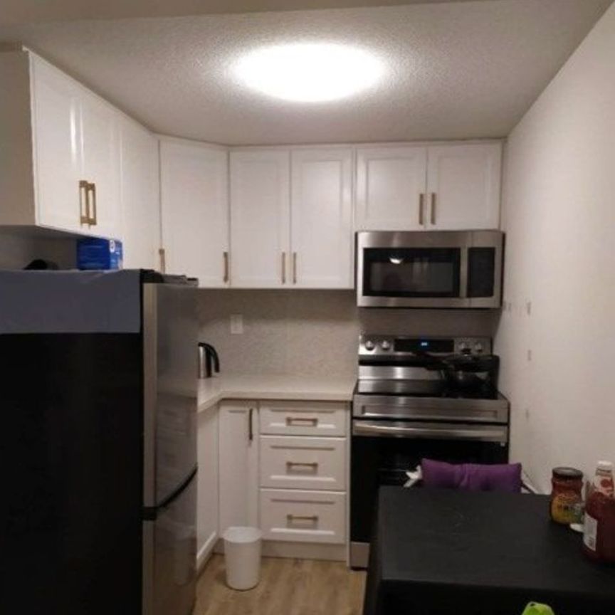 For Lease - 15 Wildflower Way Unit# Bsmt, Toronto, Ontario - Photo 1