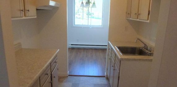 4 1/2 Chauffé/Éclairé, Décembre, Lévis secteur Desjardins, UQAR, CFP - Photo 2