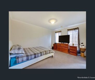 Peaceful Court Location - Photo 4