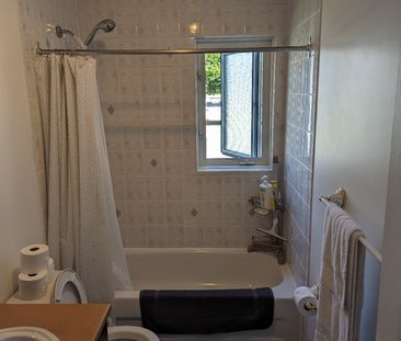 Logement 3 Et Demi / Apartment 3 And A H - Photo 3