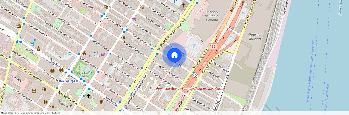 1097 Rue Atateken, Montréal (Ville-Marie), H2L3K6