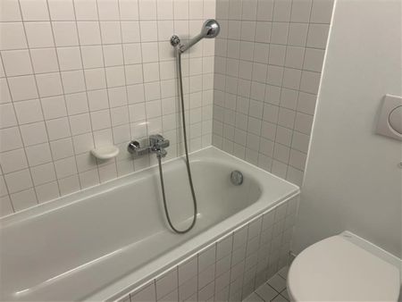 Rte des Iles 15, 1890 ST-MAURICE - Photo 5