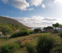 Διαμέρισμα για ενοικίαση - Μαρκόπουλο, - Photo 4