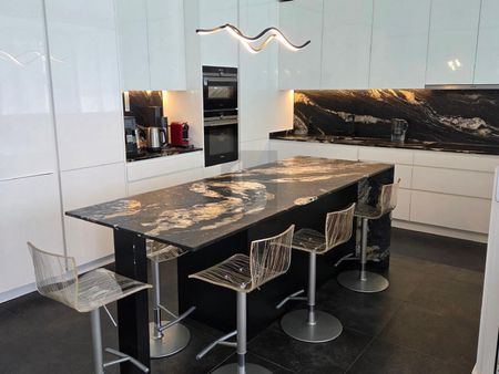 CONFORT FAMILIAL SPACIEUX À GENÈVE - Photo 3