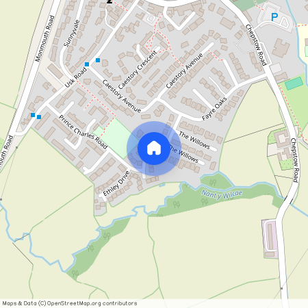 Ethley Drive, NP15 2FD