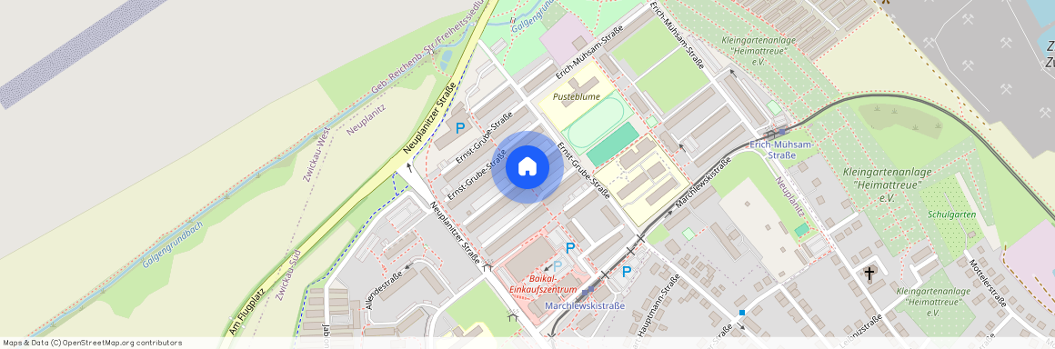 Neuplanitz, E.-Grube-Str. 141, 08062, Zwickau