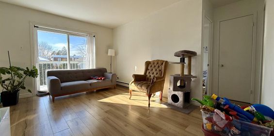 L'Entente Appartements Appartement 4 ½ à Louer Lévis Juillet 2026 - Photo 3