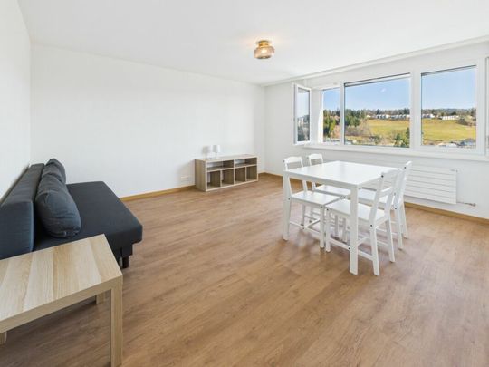 APPARTEMENT DE 2.5 PIÈCES RÉNOVÉ À LA CHAUX-DE-FONDS - À VISITER ! - Foto 1