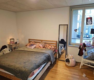 3.5 Zimmer, 78 m² - Photo 2