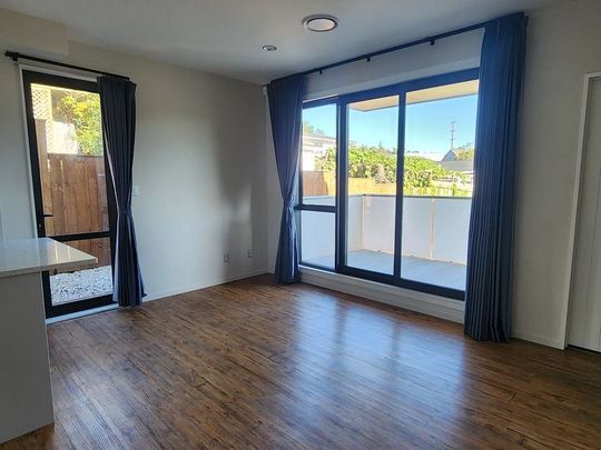 Maintenance Free 3 Bedroom Home with Study - Photo 1