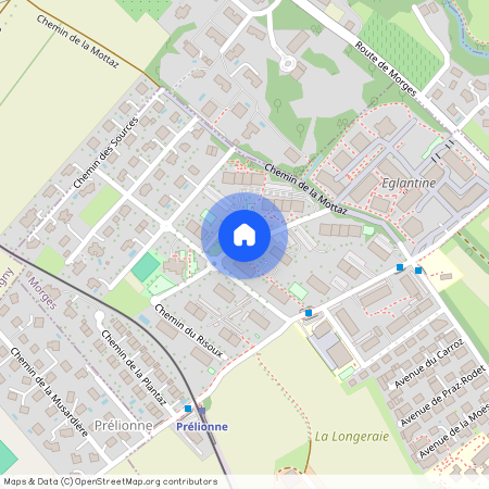 1110, Morges, Chemin Du Risoux