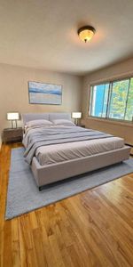 1 CH - 1 SDB - Montréal - $1,250 /mo - Photo 4