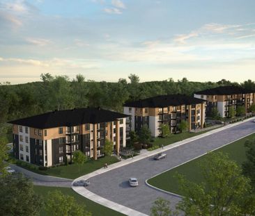 Logements 4 1/2 Spacieux - Photo 1