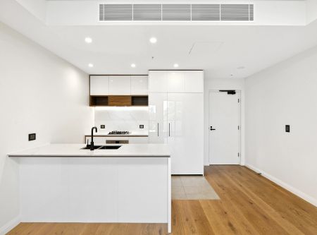 Stylish One-Bedroom Apartment in Prime Petersham Location - Photo 3