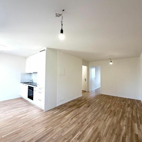 Erstbezug 2.5-Zimmer mit eigener WM/TU, grossem Balkon und Kellerabteil - Photo 1