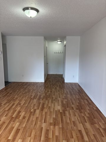 Beau grand 5 1/2, Lévis Rez de chaussé, Libre - Photo 4
