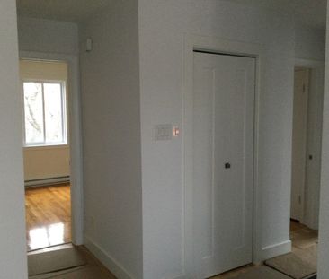 LUMINEUX, LIBRE MAINTENANT - Photo 2