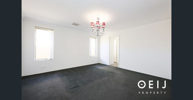 FANTASTIC FAMILY FUN - Photo 1