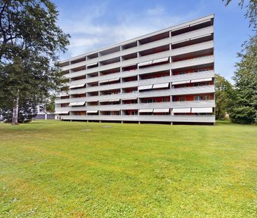 Quiet residential location in the center of Schwamendingen - Photo 4