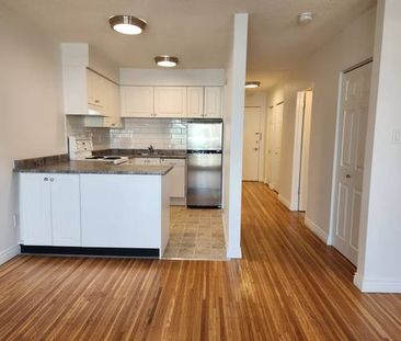 Large Cat Friendly Studio Unit With Laundry Steps From Commercial Dr - Photo 1