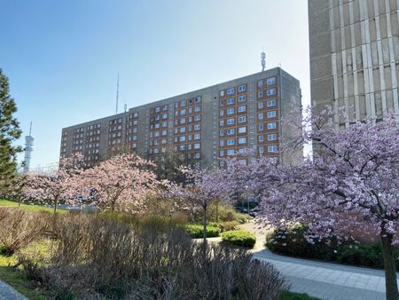 Einzug ab sofort möglich - 3-Raumwohnung mit Balkon und Aufzug - Photo 4