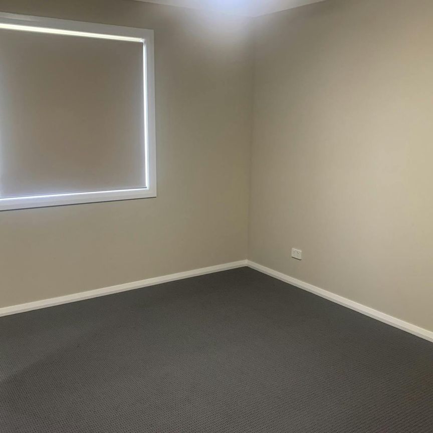 BRAND NEW IN TAREE WEST - Photo 1