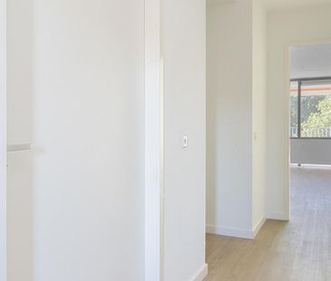 Douvenrade 2A - Photo 2