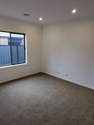 Love Where You Live - Photo 1