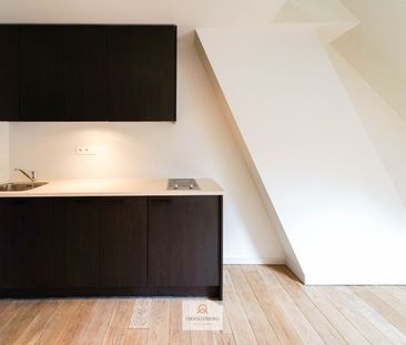 Woonst met mezzanine te huur vlakbij Gent centrum - Foto 1