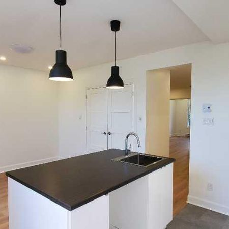 Beau 4 1/2 Completement Rénové, Verdun - Photo 4