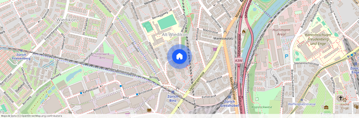 8045, Zürich, Wiedingstrasse, 85