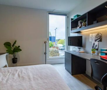Studio to rent - Photo 5