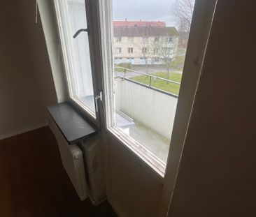Floragatan, Flen - Photo 3