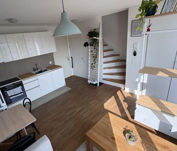 2.5 Zimmer, 44 m², 4. Stock - Foto 3