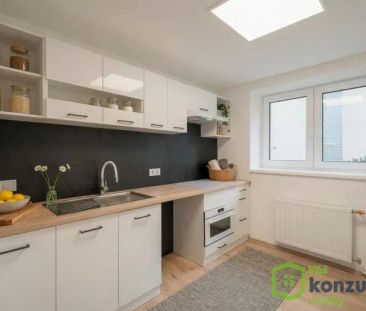 Pronájem bytu 2+1 se zahradou – Na Červeném vrchu - Photo 3