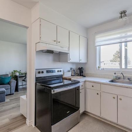 Appartement 3 ½ à louer Lévis décembre 2025 - Photo 4