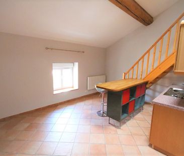 Location Appartement 1 pièce 25m² CHAMPAGNE AU MONT D OR 69410 - Photo 1