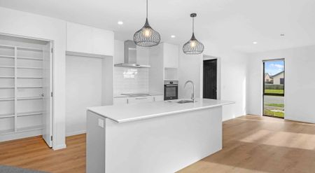 Brand New Executive Home - Photo 2