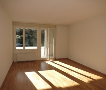 3 ½ Zimmer-Wohnung in Wädenswil-Au mieten - Photo 2