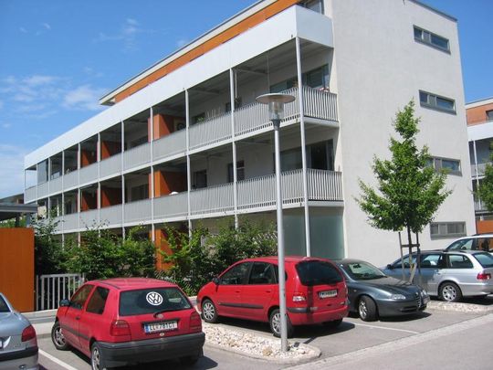 BESTLAGE THALHEIM 2-Zimmerwohnung (Top 413) - Foto 1