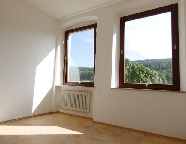 Gepflegte 3-Zimmerwohnung nahe Waldmünchen - Foto 1