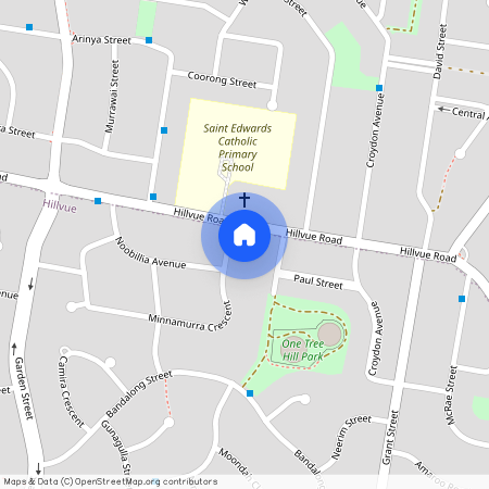 3 Minnamurra Crescent, NSW 2340, Hillvue