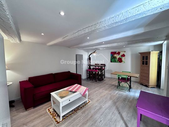 A LOUER à Chateauneuf Du Pape T1 meublé 32 m2, - Photo 1
