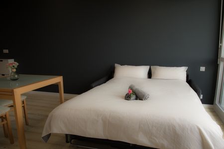 1 pièce - Meublé - 25 m² - 2ème étage - Colocation non autorisée - Photo 3